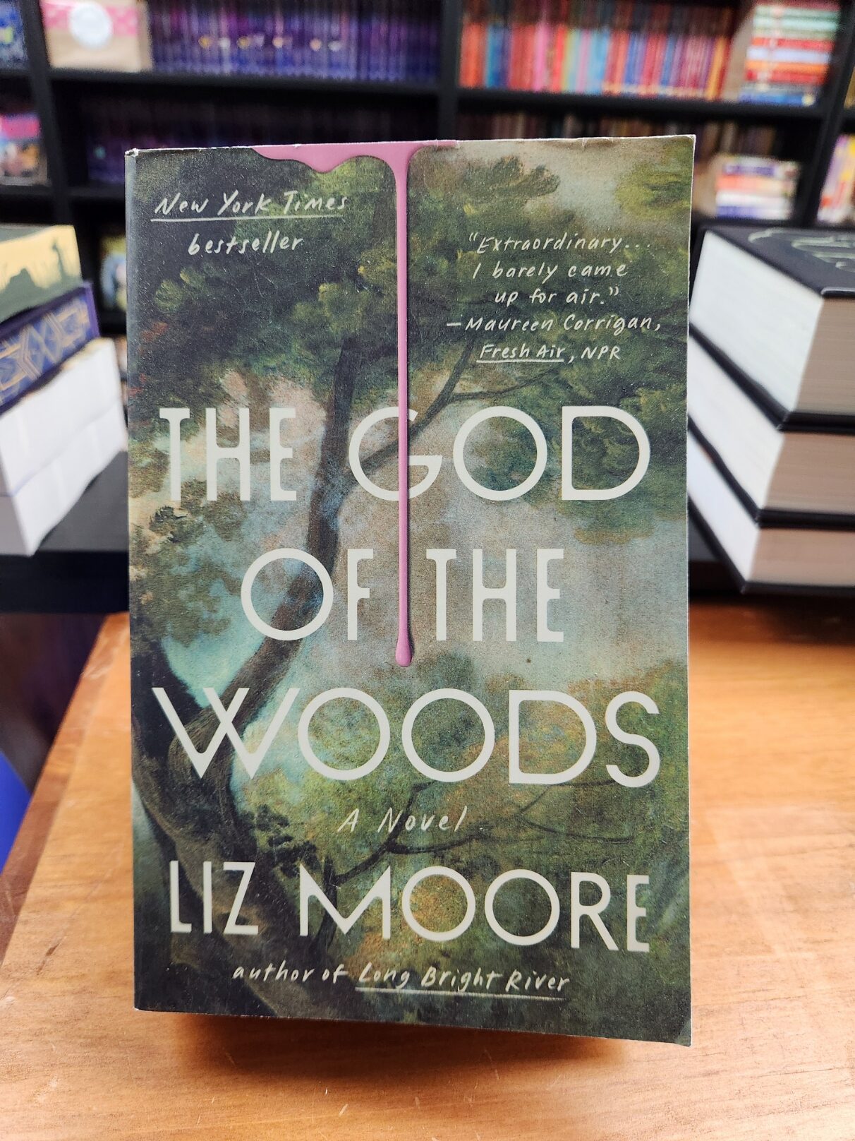 The God of The Woods, by Liz Moore
