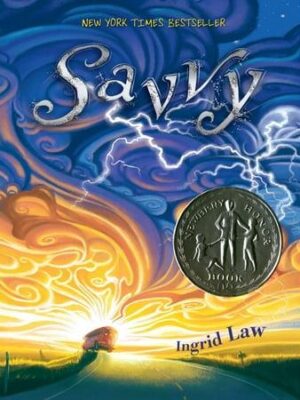 Savvy (Hardcover)